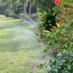 greenrose irrigation and plumbing services cape town (73)